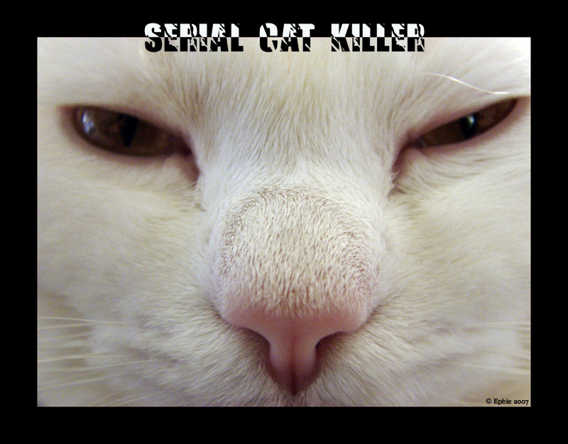 Serial_Cat_Killer.jpg