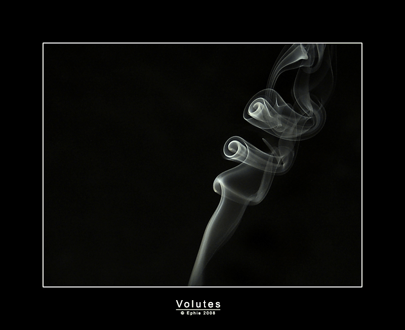 Volutes.jpg