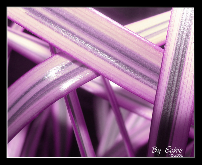 Tangle.jpg